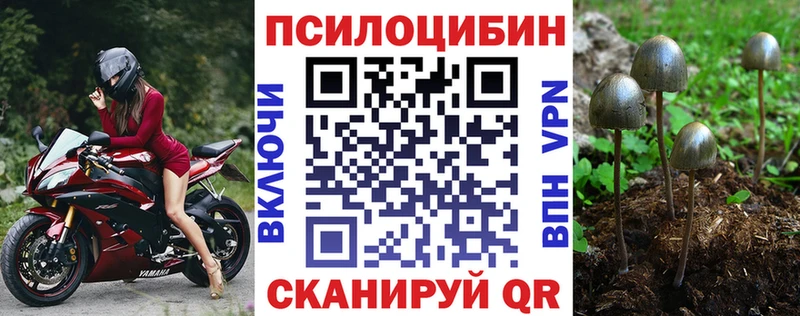 Галлюциногенные грибы Cubensis  Югорск 